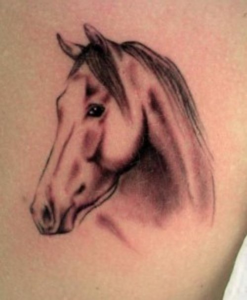 Stylish Grey Ink Horse Head Tattoo
