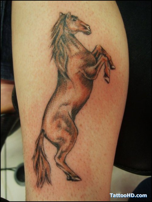 Grey Ink Horse Tattoo On Leg