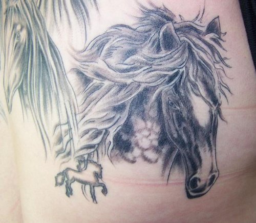 Beautiful Grey Ink Horse Head Tattoo