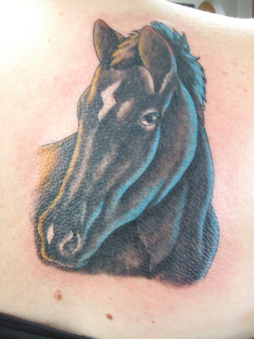 Black Horse Tattoo On Back Shoulder