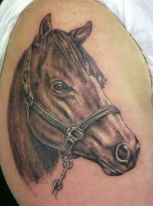 Grey Ink Horse Head Tattoo On Right Shoulder