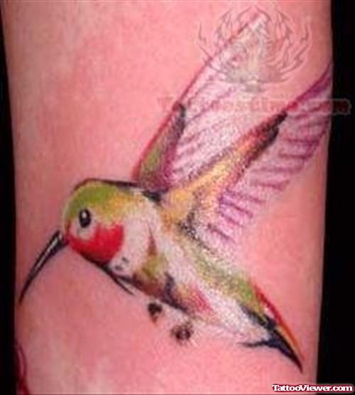 Hummingbird Tattoo Image