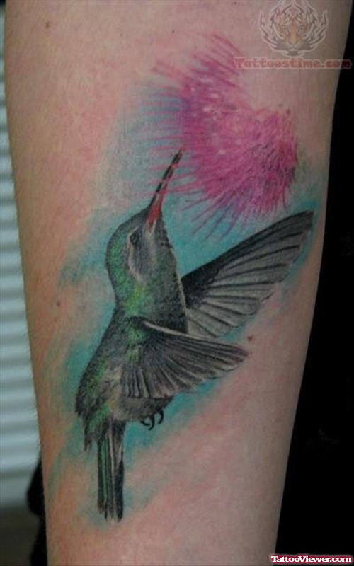 Hummingbird amazing Tattoos