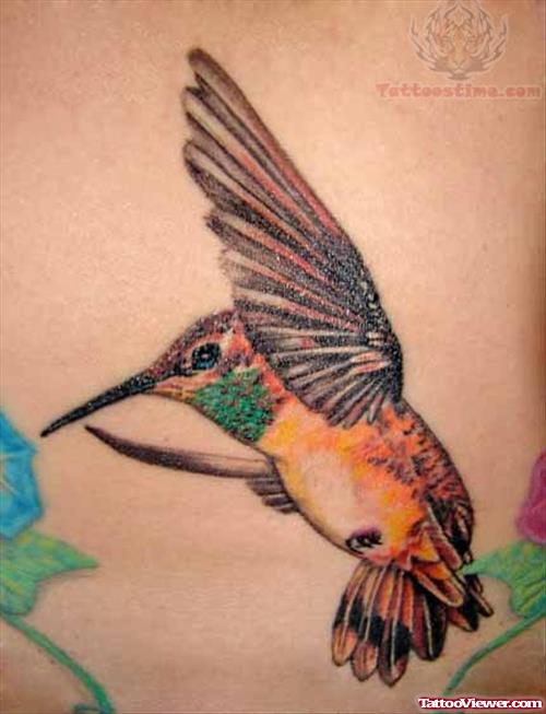Hummingbird Tattoo Design Picture