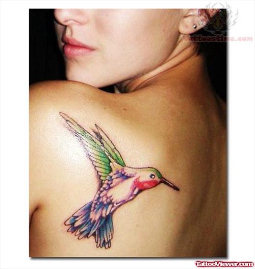 Hummingbird Back Shoulder Tattoo For Girls