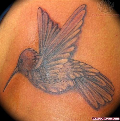 Hummingbird Tattoo Pictures