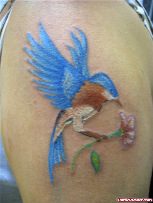 Hummingbird Tattoo For Sleeve