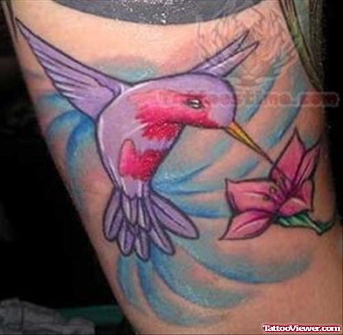 Hummingbird Awesome Tattoo