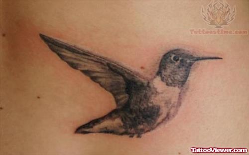 Black Ink Hummingbird Tattoo