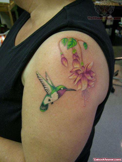 Hummingbird Suckle Tattoo