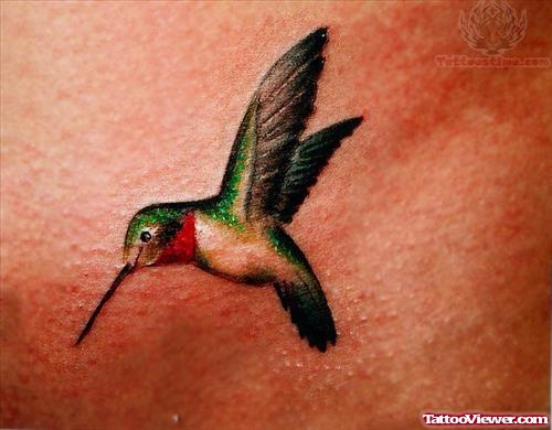 Colorful Hummingbird Tattoo Image