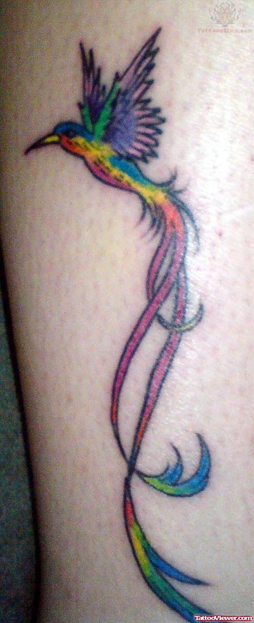 Phoenix Hummingbird Tattoo