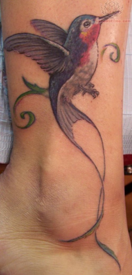 Hummingbird Tattoo Design On Ankle