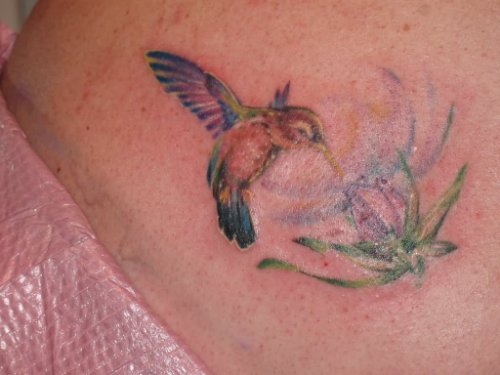 Lotus Flower And Hummingbird Tattoo For Girls