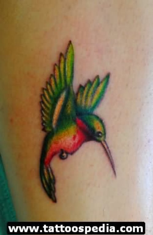 Nice Colored Hummingbird Tattoo On Arm Sleeve