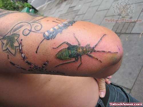 Amazing Insect Tattoo On Elbow