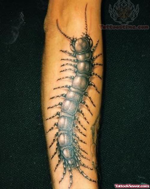 Insect Tattoo On Arm