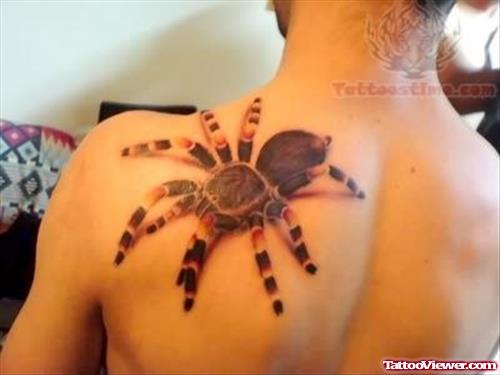 Amazing 3d Spider Tattoo