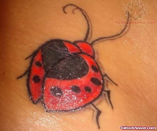 Red Ladybug Tattoo
