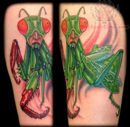 Ladybug Insect Tattoo