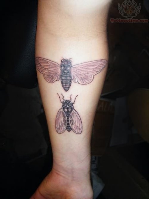 Bug Tattoo New Style