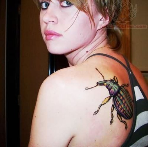 Insect Tattoo On Back Shoulder
