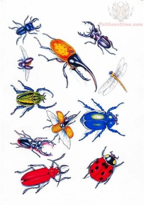 Insect Tattoos Source