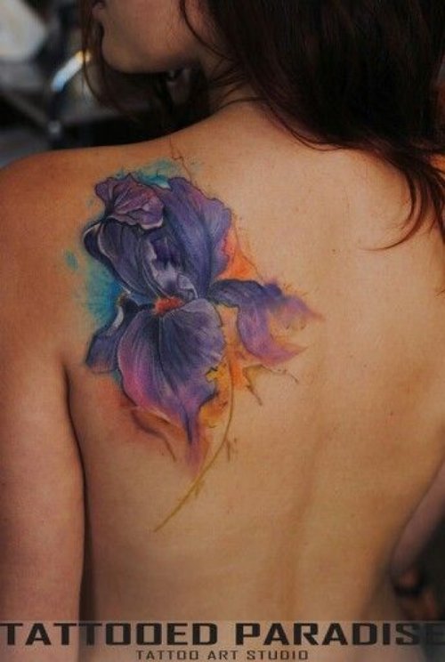Colorful Iris Tattoo On Left Back Shoulder