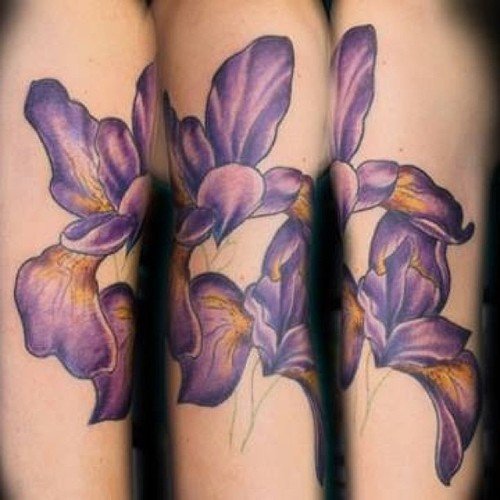 Purple Flowers Iris Tattoo On Sleeve