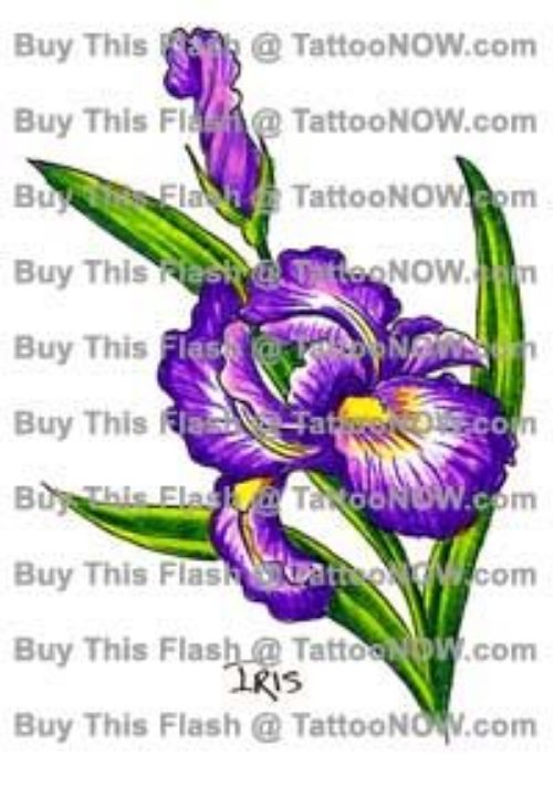 Amazing Color Iris Tattoo Design