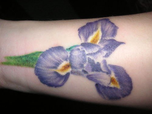 Iris Tattoo On Leg