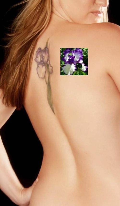 Amazing Girl Back Body Iris Tattoo