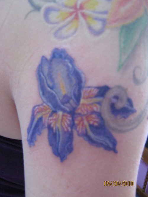 Purple Flower Iris Tattoo