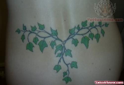 Trailing Ivy Tattoo