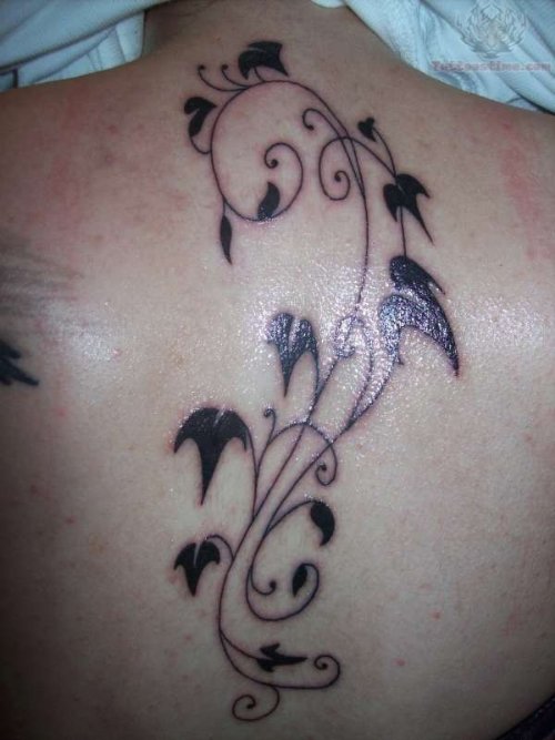 Ivy Tattoo On Upper Back