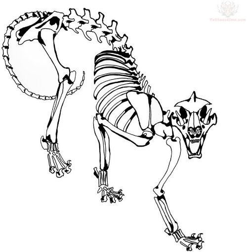 Skeleton Jaguar Tattoo Design