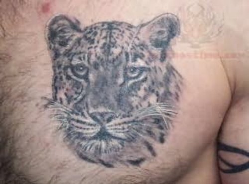 Grey Ink Jaguar Tattoo On Chest