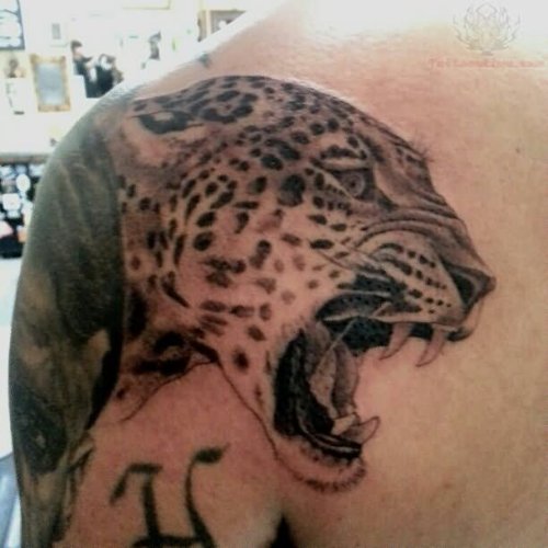 Jaguar Roaring Head Tattoo