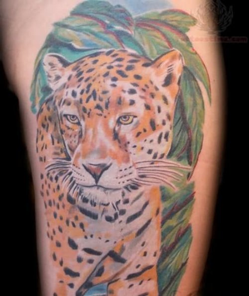 Jaguar Color Ink Tattoo Image
