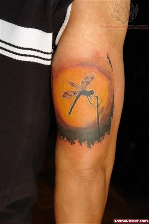Sunset Dragonfly Tattoo
