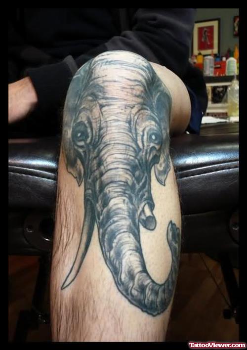 Elephant Big Tattoo On Knee
