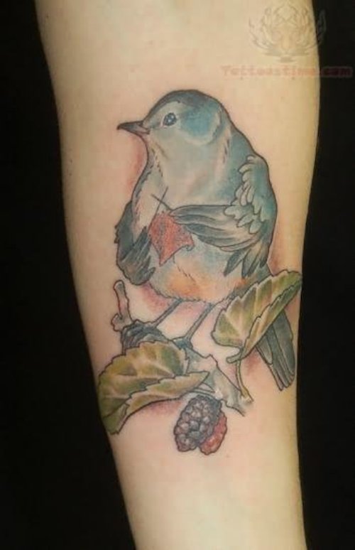 Color Ink Sparrow Knitting Tattoo