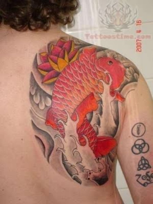 Koi Tattoo For Back Shoulder