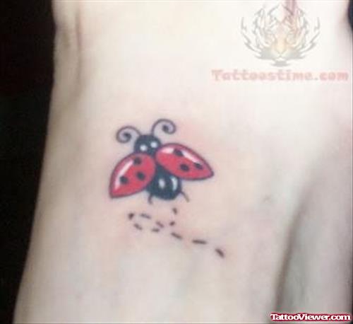 Ladybug Tattoo For Boys
