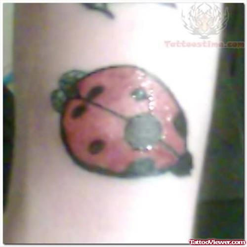 Normal Ladybug Tattoo