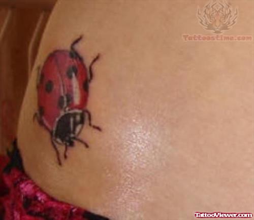Red Ladybug Tattoo On Waist