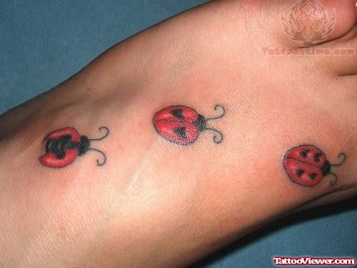 Ladybug Tattoos For Foot