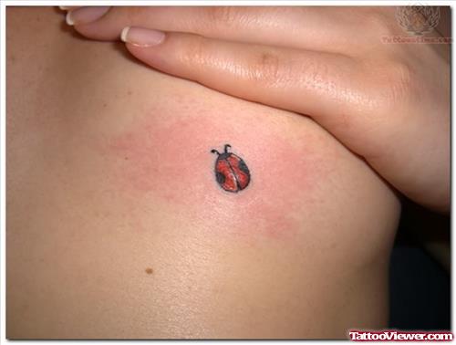 Ladybug Tattoo Designs Pictures