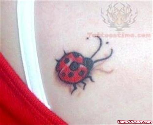 Ladybug Back Shoulder Tattoo