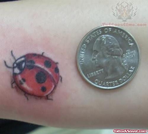 Ladybug Red Tattoo